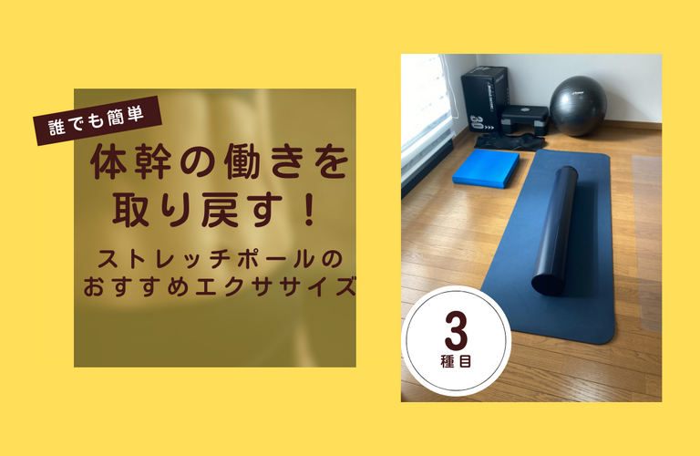 【動画】ストレッチポールで体幹のエクササイズまとめ｜太田市でジムならリラクゼーションから運動指導までRINK